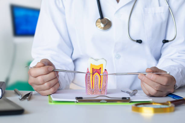 Best Emergency Dental Extractions in Kingston, PA